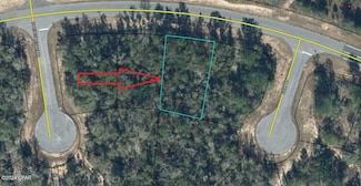 TBD Shenandoah Blvd, Chipley, FL 32428