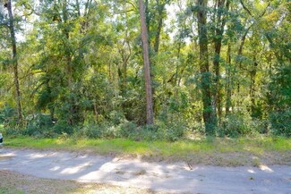 TBD NE 162 Place, Citra, FL 32113