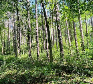 TBD Brown Ln, Pepin, WI 54759