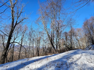 00 Marney's Vista Rd, Waynesville, NC 28786