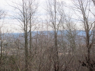 LT 38 Summit Dr, Rocky Mount, VA 24151