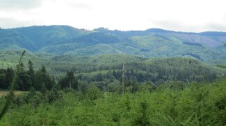 0 Drazil Rd, Raymond, WA 98577