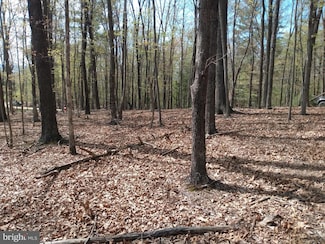 Lot 50 Birch Grove Ln, Berkeley Springs, WV 25411