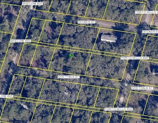 0 Goethals St, Webster, FL 33597