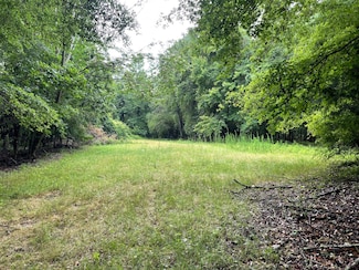 0 Luke Paschal Rd, Eclectic, AL 36024