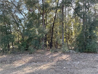 84 W Reef Ln, Citrus Springs, FL 34434