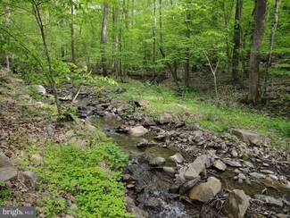 Lots 22 9A Oregon Hollow Rd, Linden, VA 22642