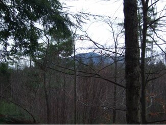00 Senna Rd, Cavendish, VT 05142