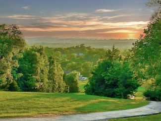 1659 Guy Ferrell Rd, Franklin, TN 37067