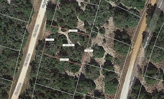 Lot 40 Pin Oak Ln, Hilltop Lakes, TX 77871