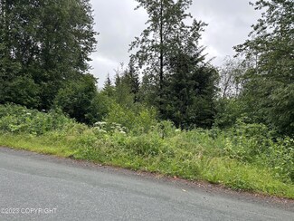 NHN Unnamed Rd, Covenant Life, AK 99827