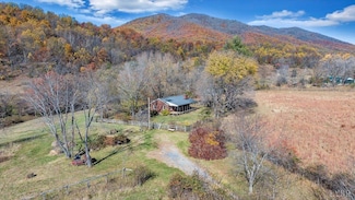 1001 Richie Farm Ln, Big Island, VA 24526