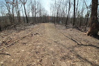 0 Madison Cr411, Fredericktown, MO 63645