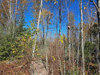 Xx Mattila Rd, Virginia, MN 55792