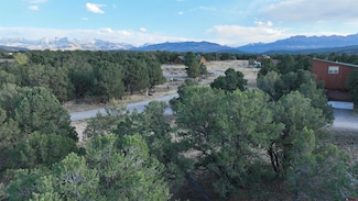Lot 1 Pinion, Ridgway, CO 81432