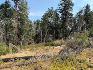 1706 Young Ave, Paradise, CA 95969