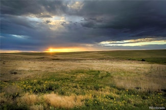 0 Last Dart Rd Unit 13 REC6037465, Kiowa, CO 80117