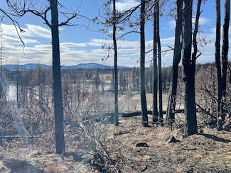 0 Loyd Low Trail Unit 5 220191697, Bly, OR 97622