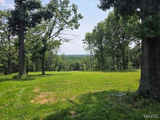 18 +/- Acres, Richwoods, MO 63071