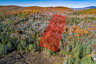 Lot 28 Ford Mill Rd, Danbury, NH 03230