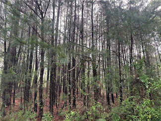0 Redmond Rd Unit 1307225, Pottsville, AR 72858