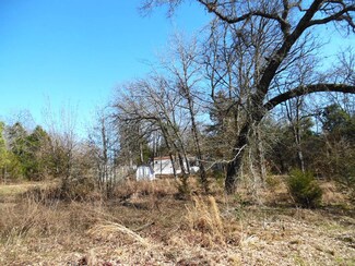 TBD-lt 1 Willow Ln, Callender Lake, TX 75778