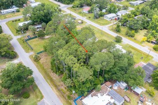 0 Armadillo Lot #4 Rd, Astor, FL 32102