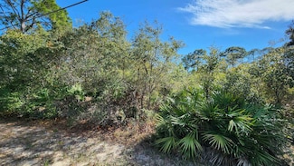 Lot 19 Monocoupe Cir, Panacea, FL 32346