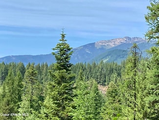 NNA Timber Ridge Trail, Clark Fork, ID 83811