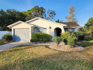 1206 Sawgrass Ct, Oldsmar, FL 34677