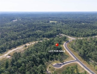 105 Anguilla Ave, Tuscaloosa, AL 35406