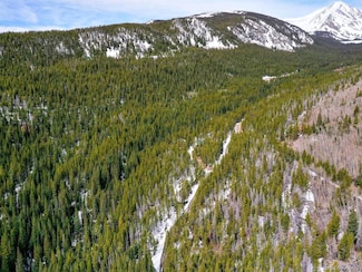 0 Rainbow Rd Unit Lot 27 REC7460280, Idaho Springs, CO 80452