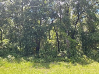 446 N Fitzpatrick Ave, Inverness Highlands North, FL 34453