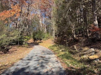 58 Martin Ln, Nallen, WV 26680