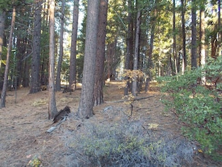 2300 Shooting Star Ln, Greenhorn, CA 95971