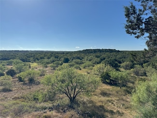 136 Moose Trail, Ranger, TX 76470