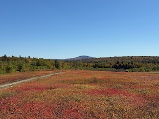 MAP19LOT28 Leach Rd, Penobscot, ME 04476