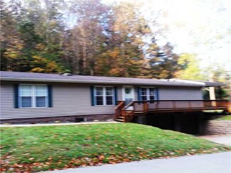 113 Lower Tunnel Hill Rd, Hyde Park, PA 15641