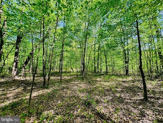 Lot: 15 Paradise Rd, Todd Township, PA 16657