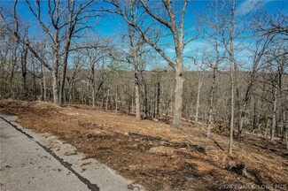 LOT 30 Craftsman Dr, Osceola Township, MO 65020