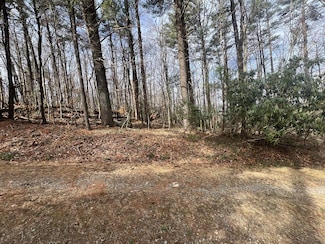 TBD Landscaped Ln, Fancy Gap, VA 24328