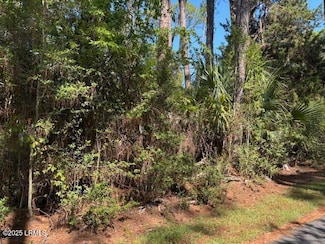 21 Lakeview Ln, Saint Helena Island, SC 29920