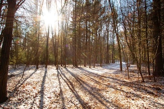 Lot 6 Natures Way Unit Parcel  1801672, Wisconsin Rapids, WI 54494