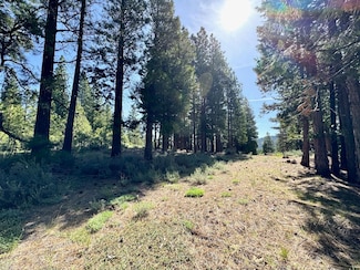 848 Startop, Portola, CA 96122