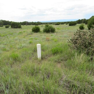 80 Apache Mesa Rd, Los Montoyas, NM 87701