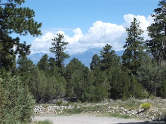 43 Mill Run Rd, Mosca, CO 81146