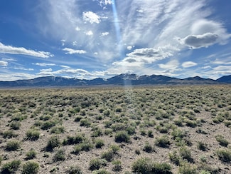 Maple St, Wells, NV 89835