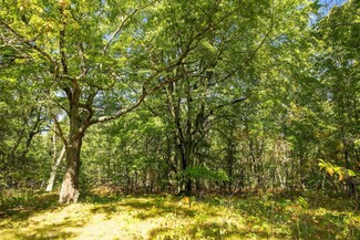 00 V/L E Crystal Lake Rd, Holton Township, MI 49425