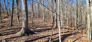0 Foxden Rd Unit 110 CAR4139130, Mars Hill, NC 28754