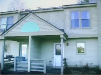 4 Turner Place Unit 313, Enfield, NH 03748